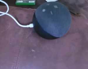 Amazon echo speaker